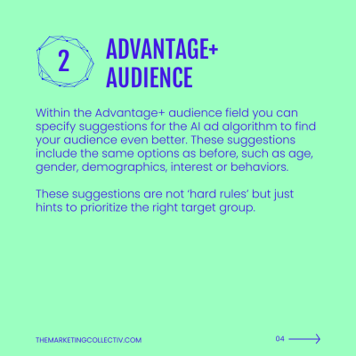 Advantage+ audience